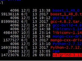 【原创】CentOS 6.5安装valgrind