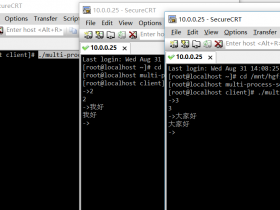 【整理】Linux Socket网络编程_TCP编程(3)_多线程版本