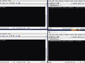 【Linux下epoll编程2】epoll模型开发的服务端客户端+演示