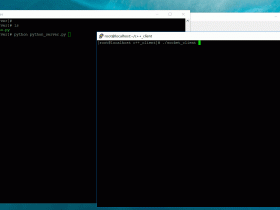 【整理】Python Socket Server with C++ Socket Client通信