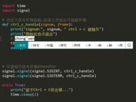 【已解决】Pycharm,Sublime中文输入框不跟随