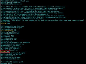 [已解决]SecureCRT/SSH 连接Linux缓慢